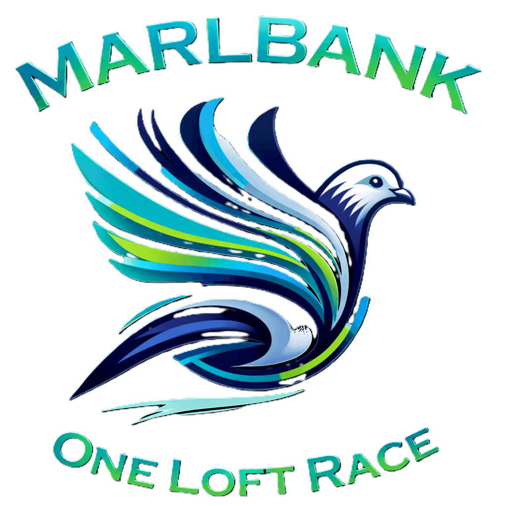 Marlbank One Loft Race